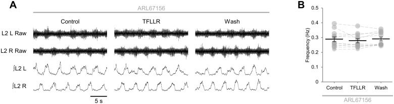 Fig 5