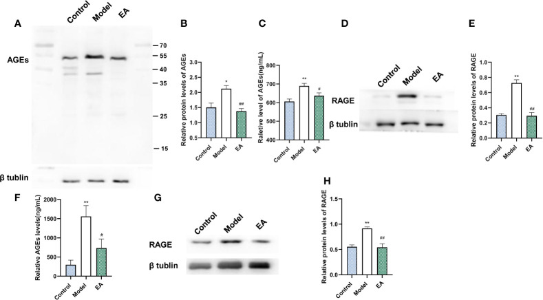 Figure 5