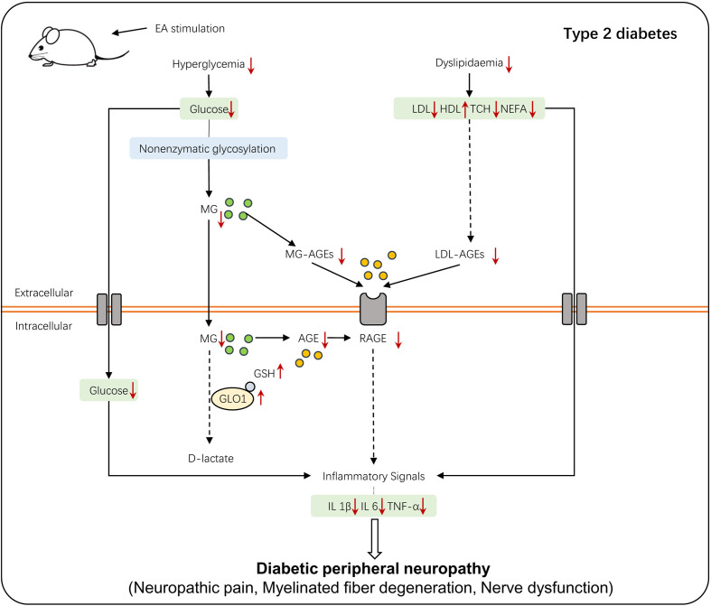 Figure 7