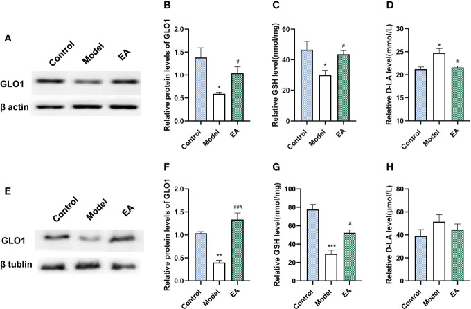 Figure 6