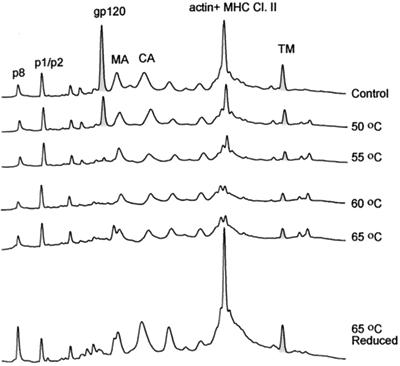 FIG. 8.