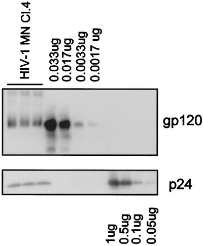 FIG. 5.