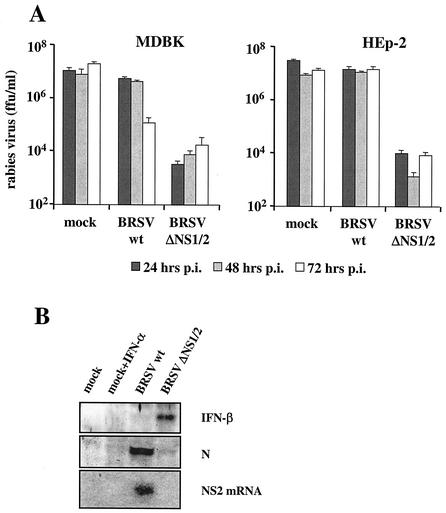 FIG. 4.