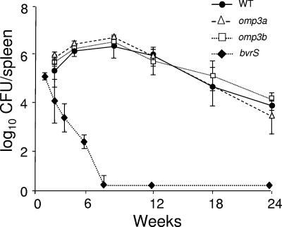 FIG. 6.