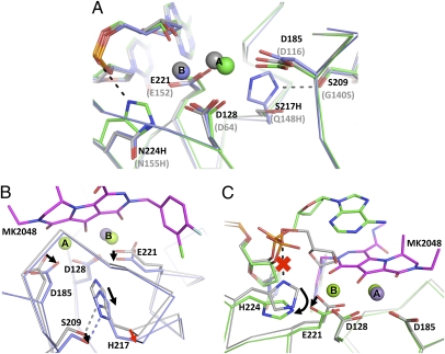 Fig. 4.