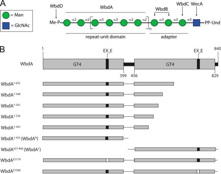 FIGURE 1.