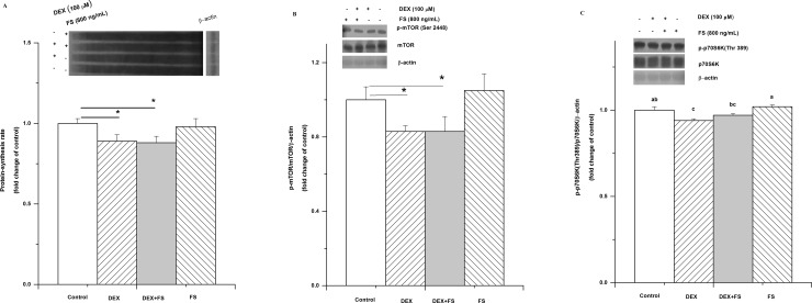 Fig 7