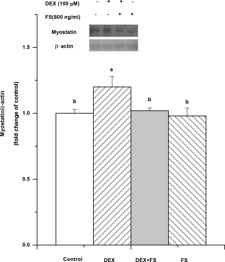 Fig 5