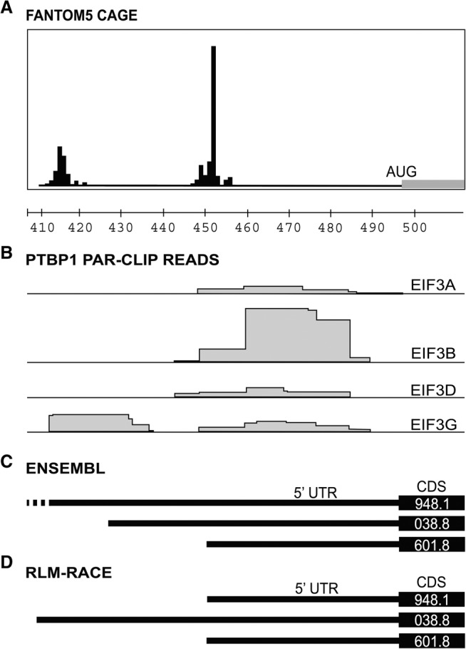 FIGURE 2.