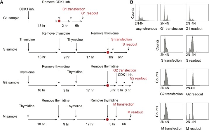 FIGURE 4.