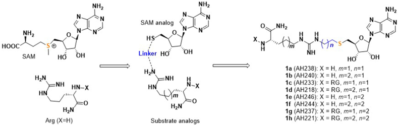 Figure 2