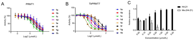 Figure 3