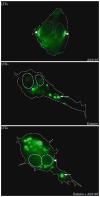Fig. 10.4
