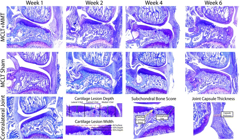 Fig. 9