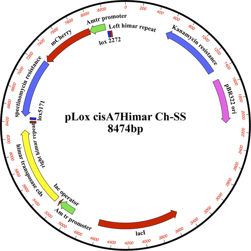 FIG 1