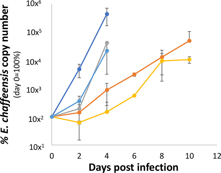 FIG 4