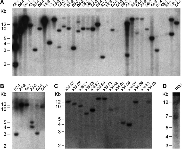 FIG 2