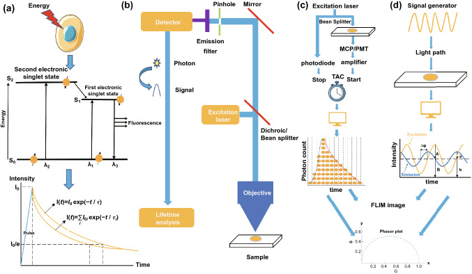 Fig. 2