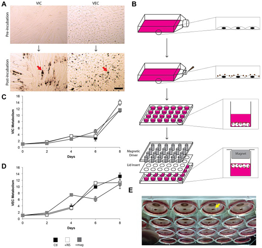 Figure 1: