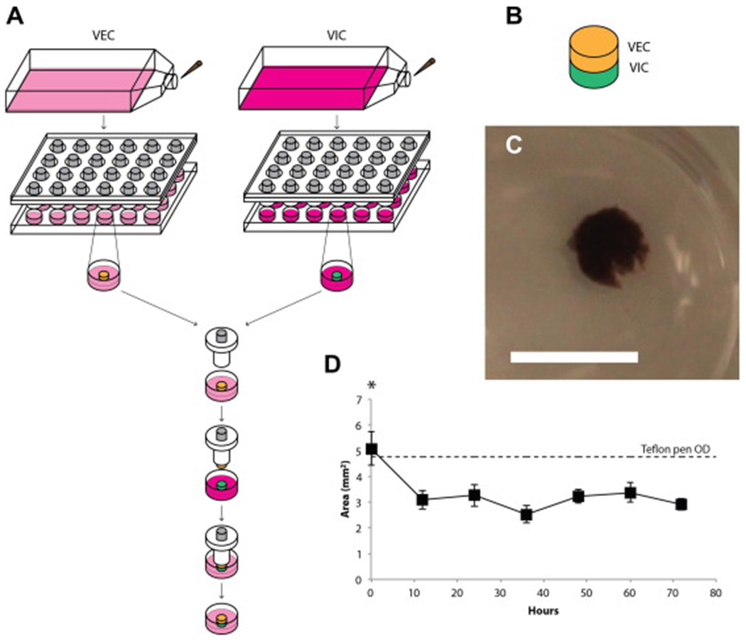 Figure 2: