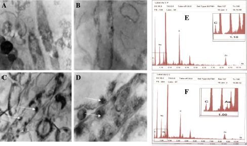 Fig. 4A–F