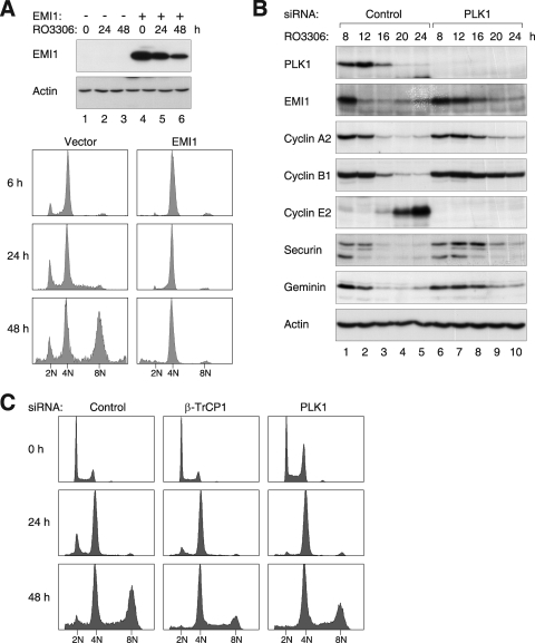 FIG. 6.