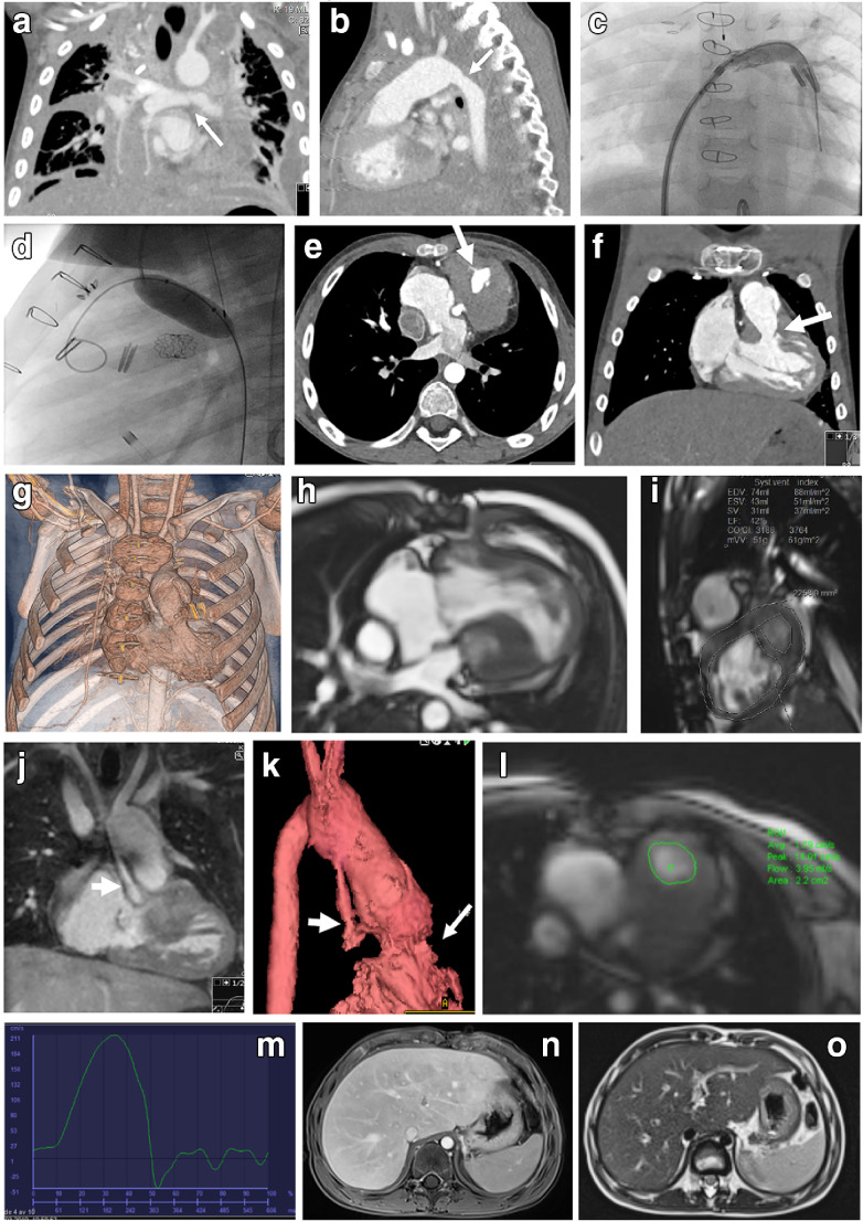 Fig. 6