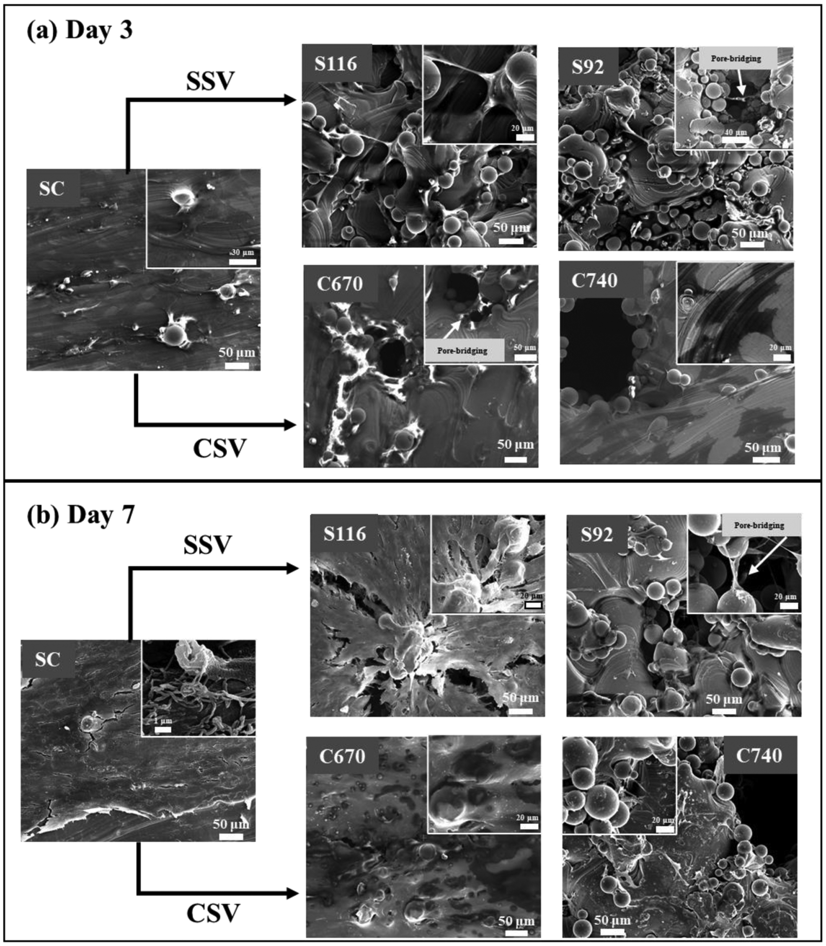 Fig. 12.