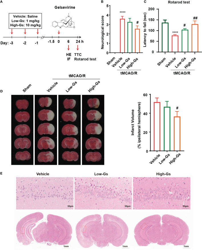 Figure 2