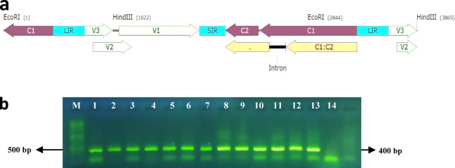 Fig. 1