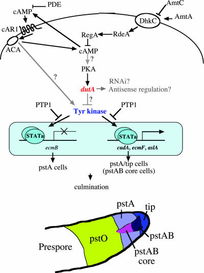 FIG. 8.