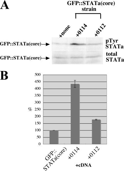 FIG. 7.