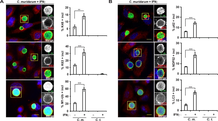 FIG 3 