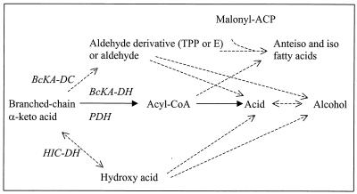 FIG. 5.