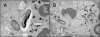 FIG. 8.