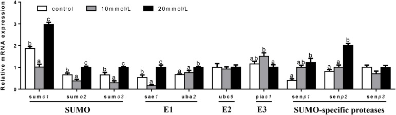 FIGURE 9