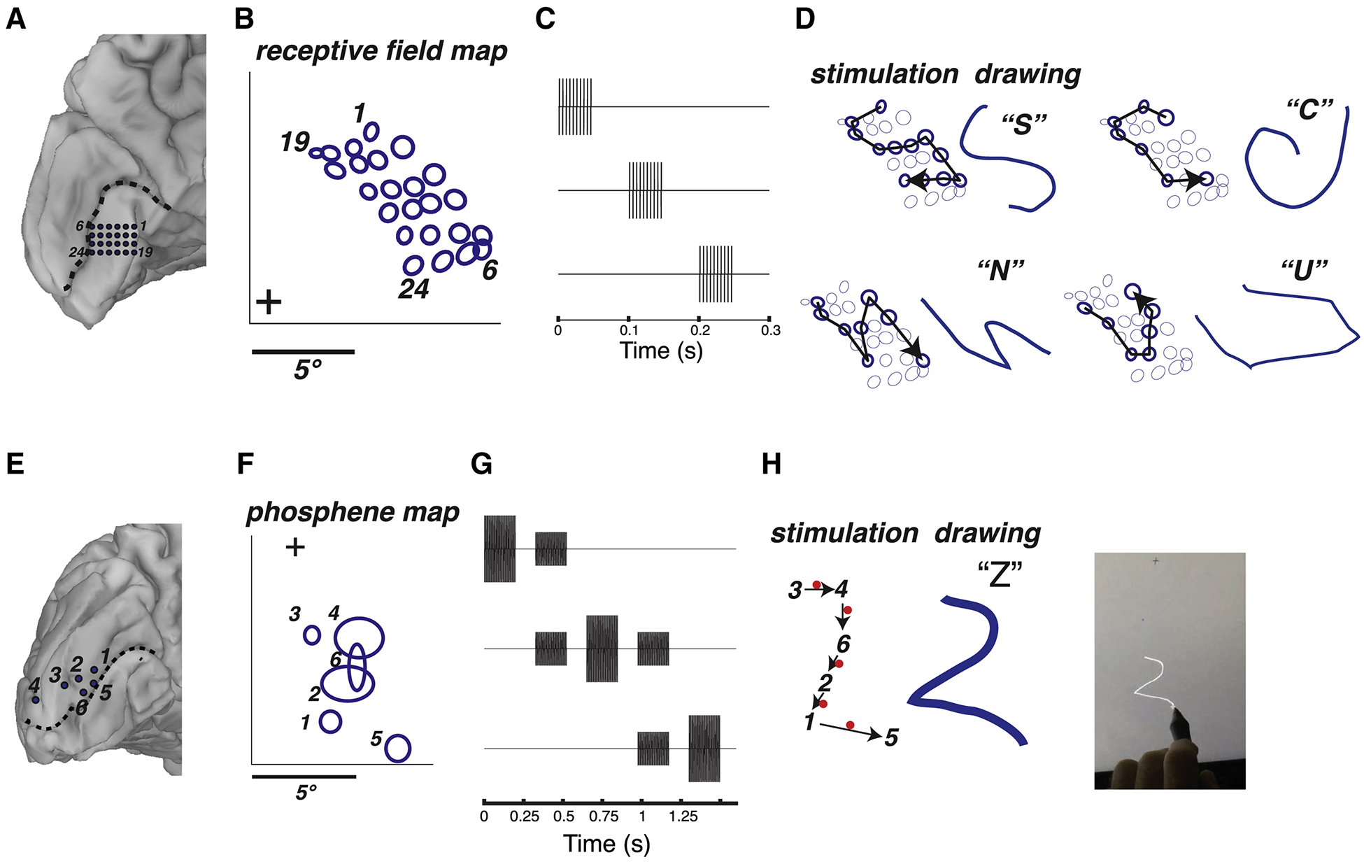 Figure 4.