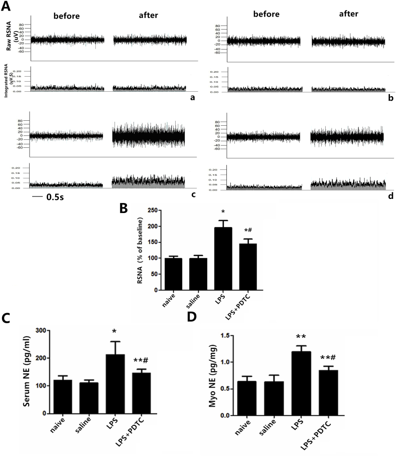 Fig. 9