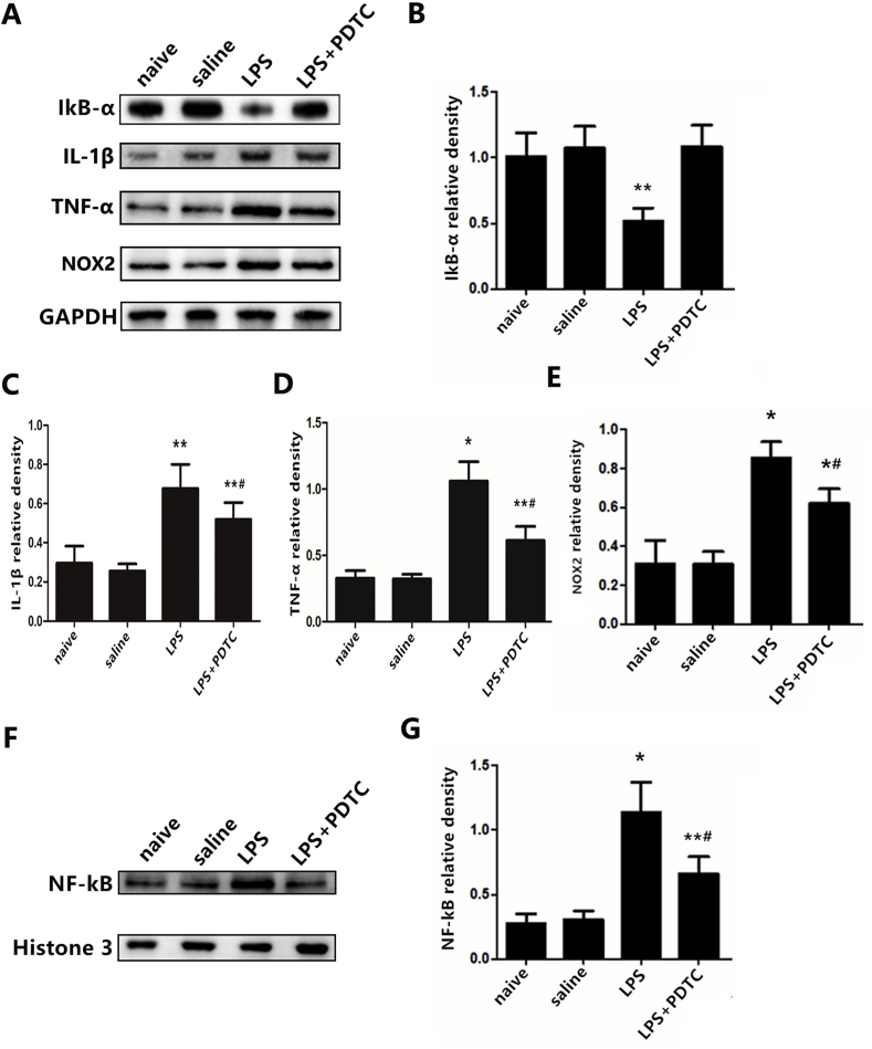 Fig. 8