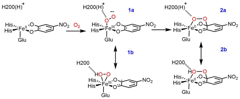 Scheme 3.