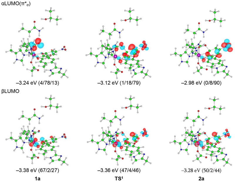 Figure 12.