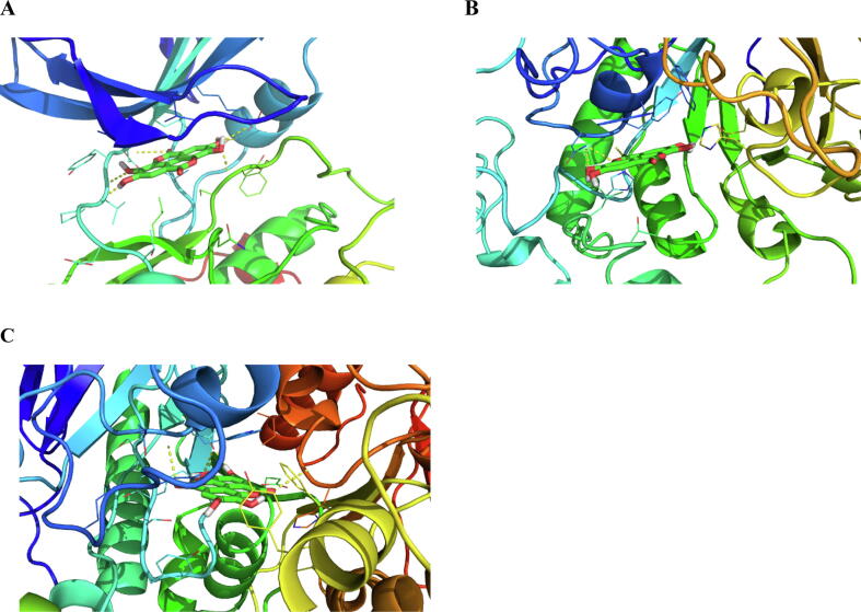 Fig. 10