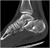 Fig. 10