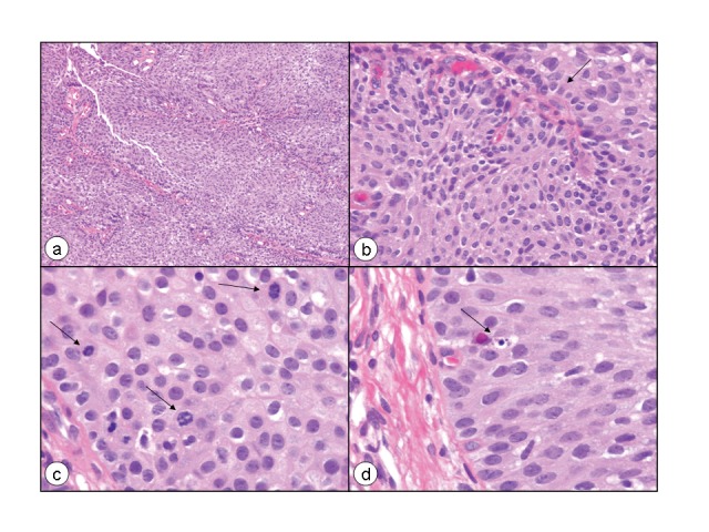 Fig. 8.