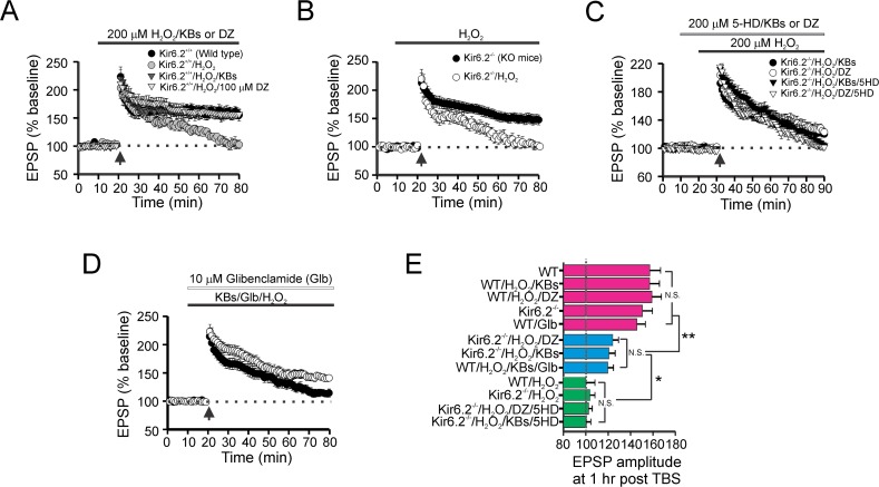 Fig 4