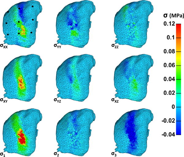 Fig. 8