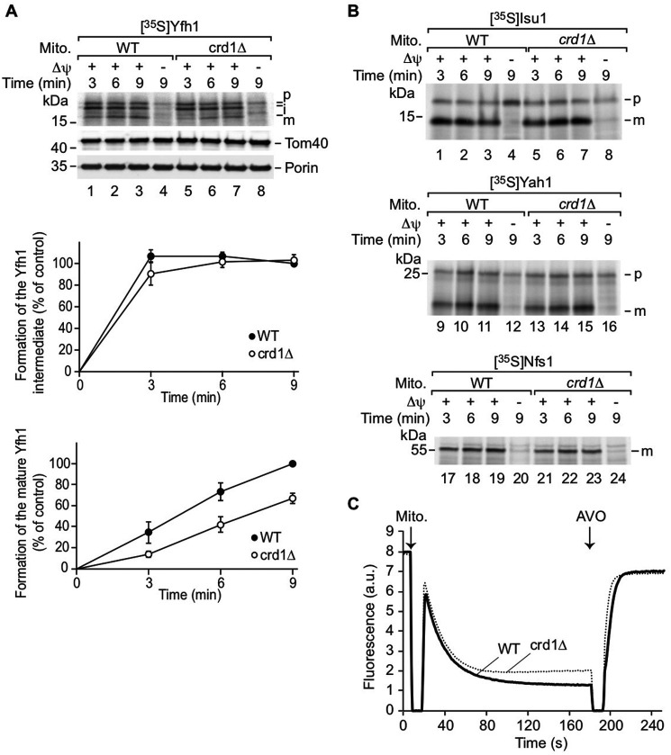 Figure 4.