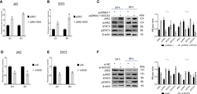 Figure 4