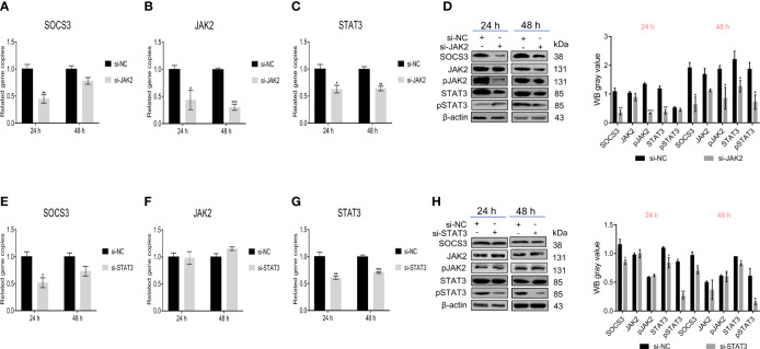 Figure 5