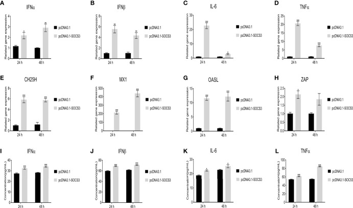 Figure 7